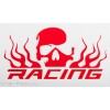 Sticker "Racing", 120x65mm